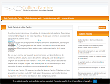 Tablet Screenshot of collier-dambre.com